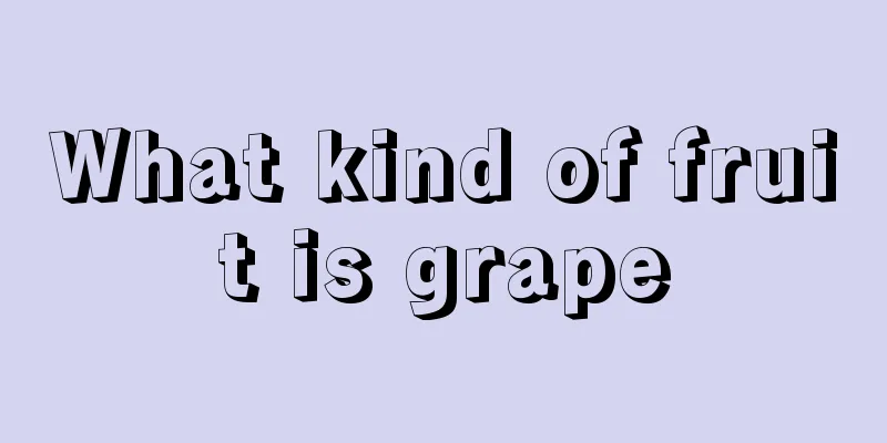 What kind of fruit is grape