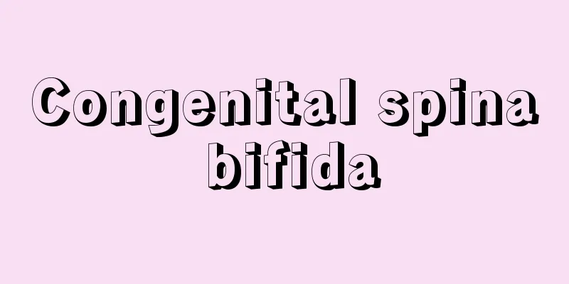 Congenital spina bifida