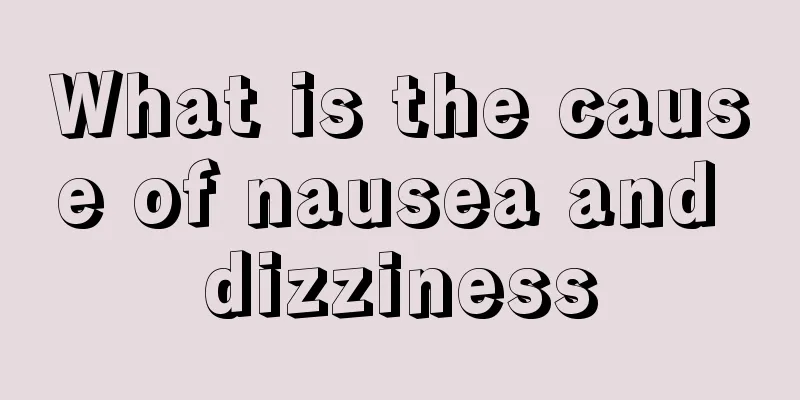What is the cause of nausea and dizziness