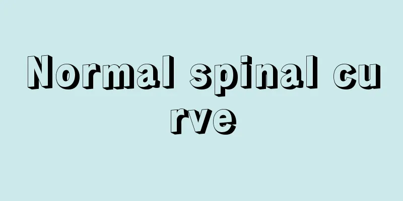 Normal spinal curve