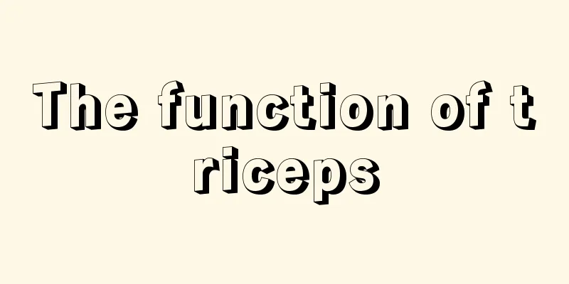 The function of triceps