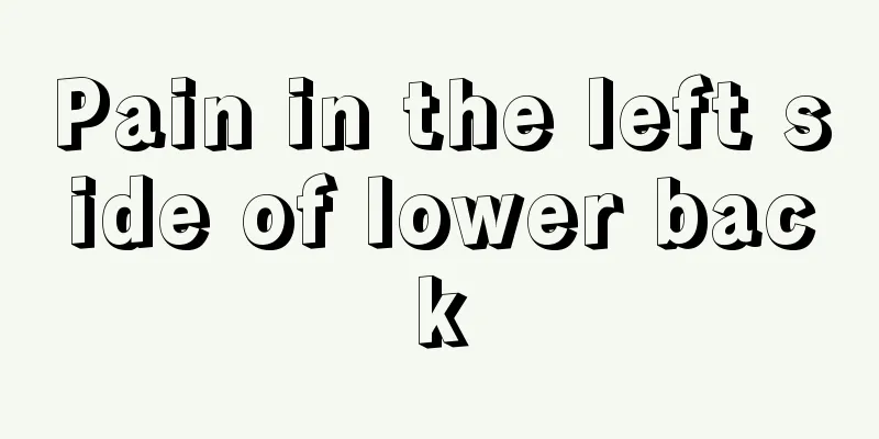 Pain in the left side of lower back