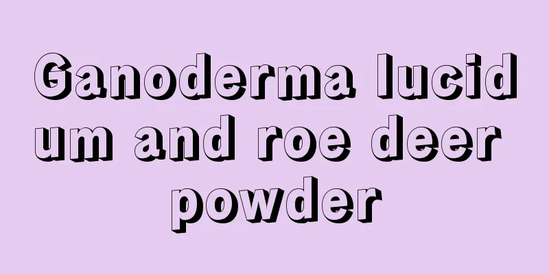 Ganoderma lucidum and roe deer powder