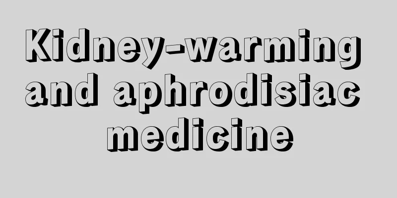 Kidney-warming and aphrodisiac medicine