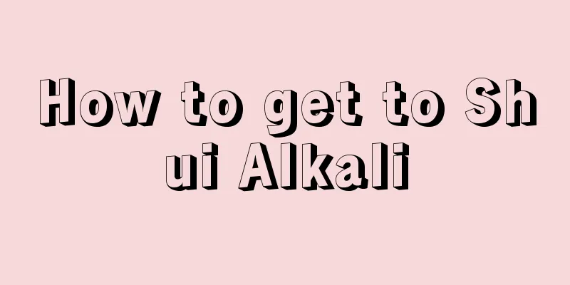How to get to Shui Alkali