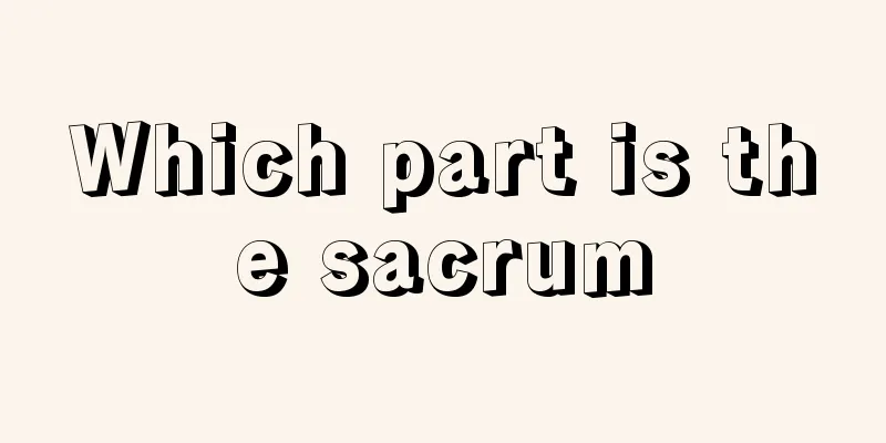 Which part is the sacrum