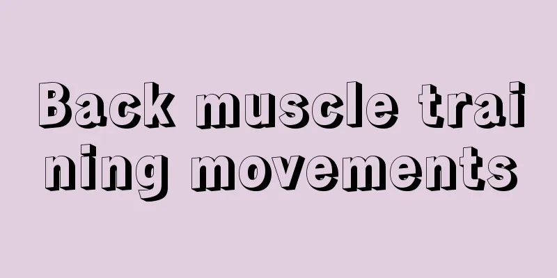 Back muscle training movements