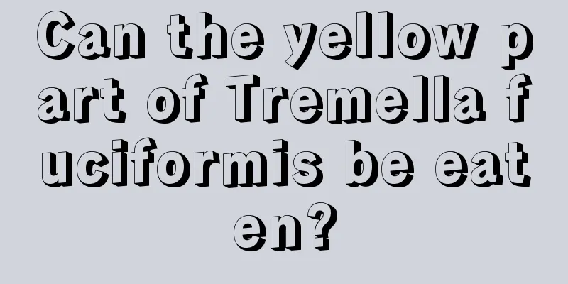 Can the yellow part of Tremella fuciformis be eaten?