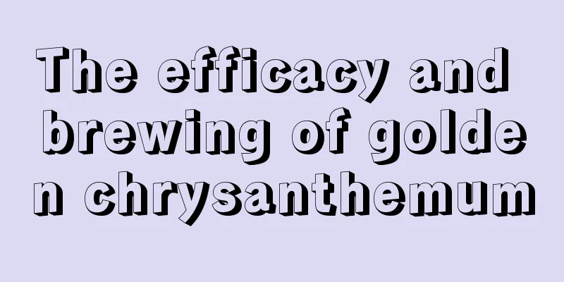 The efficacy and brewing of golden chrysanthemum