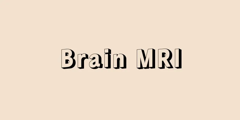 Brain MRI