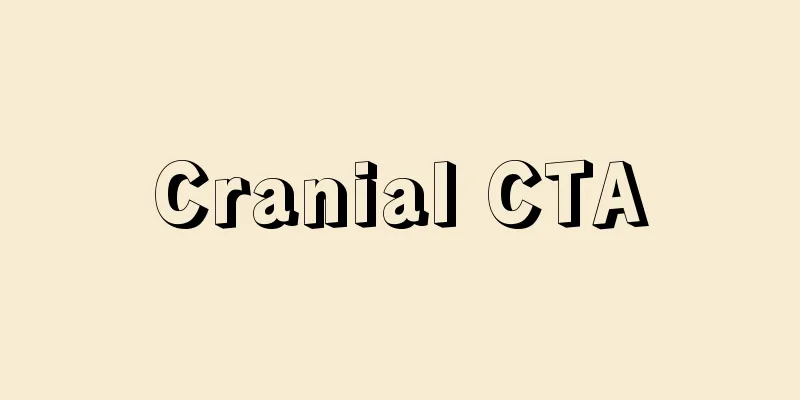 Cranial CTA