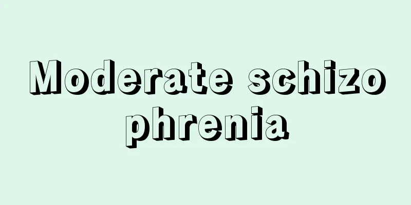 Moderate schizophrenia