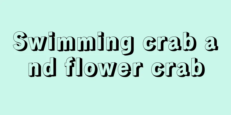 Swimming crab and flower crab