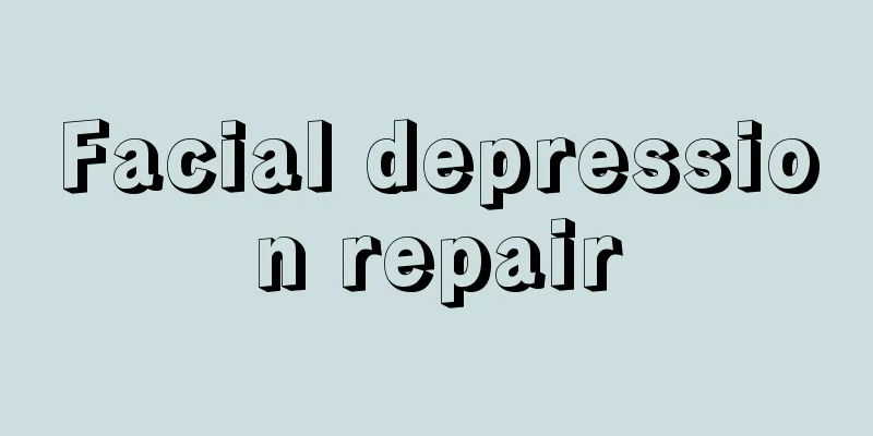 Facial depression repair