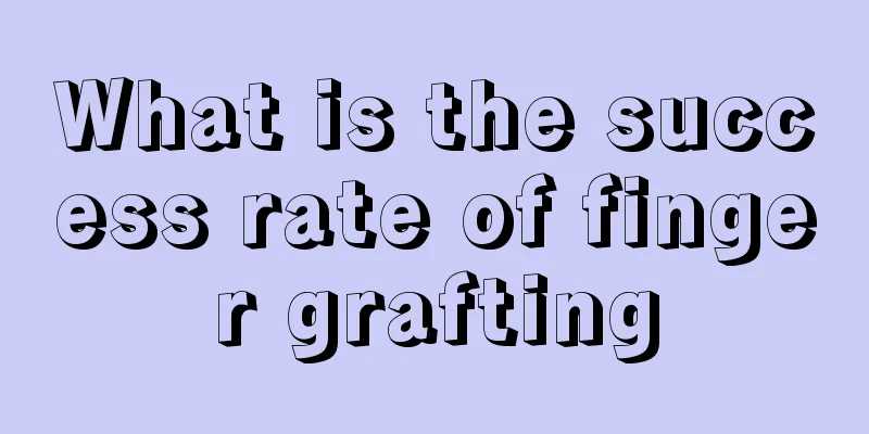 What is the success rate of finger grafting