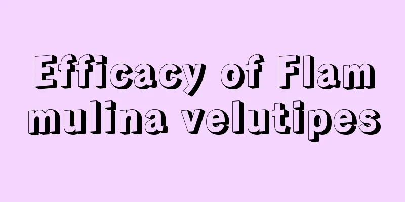 Efficacy of Flammulina velutipes