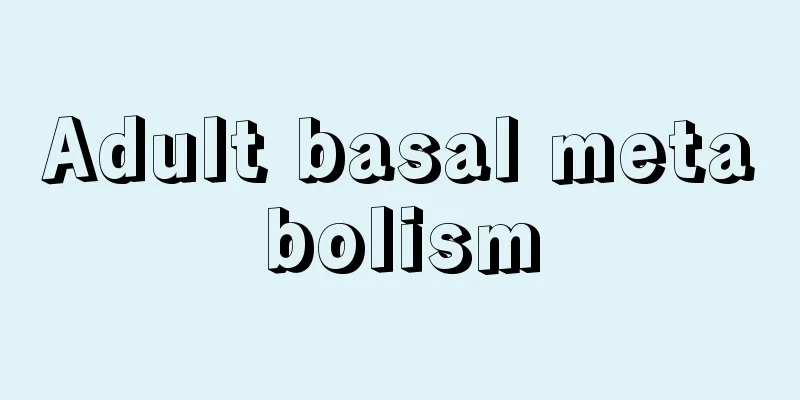 Adult basal metabolism