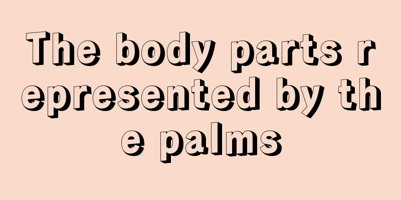 The body parts represented by the palms