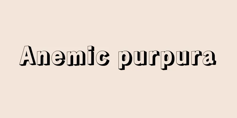 Anemic purpura