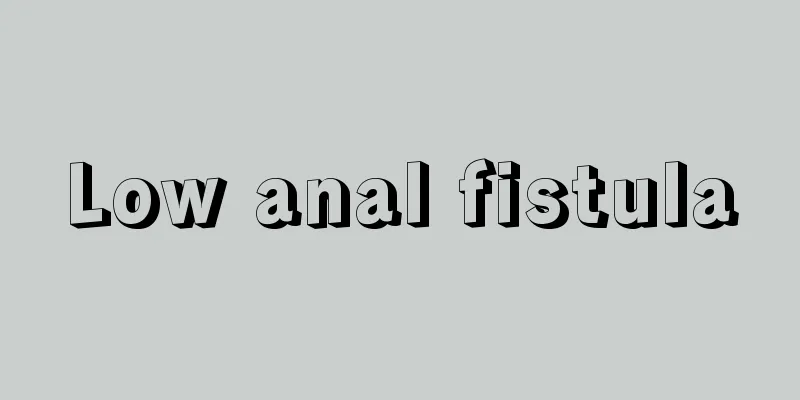 Low anal fistula