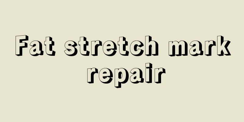 Fat stretch mark repair