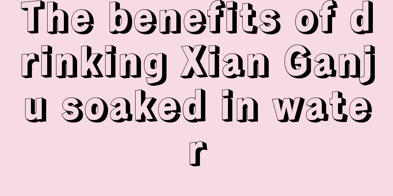 The benefits of drinking Xian Ganju soaked in water