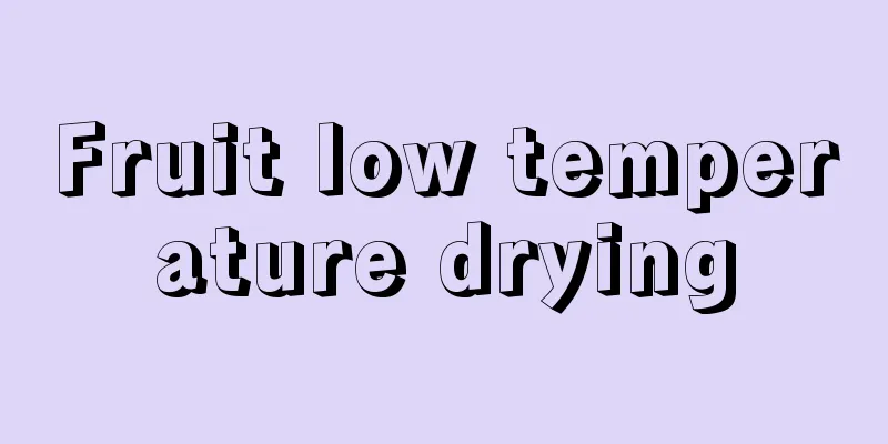 Fruit low temperature drying