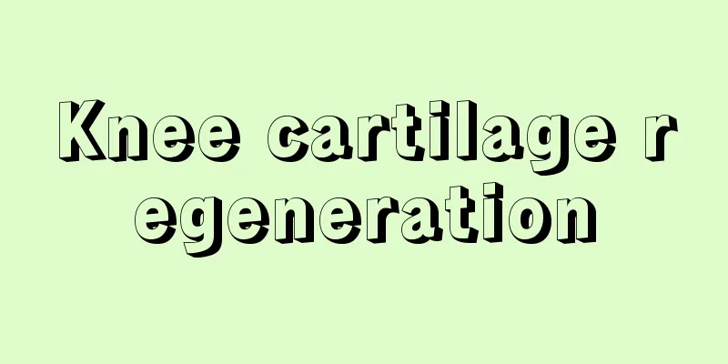 Knee cartilage regeneration