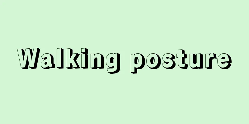 Walking posture