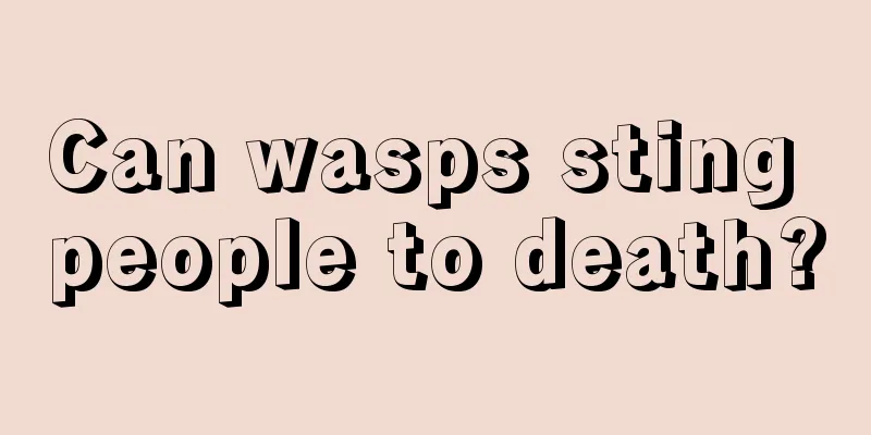 Can wasps sting people to death?