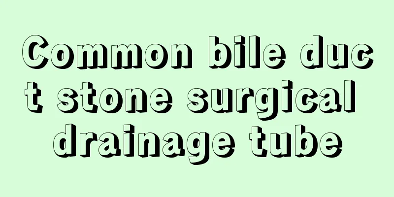 Common bile duct stone surgical drainage tube