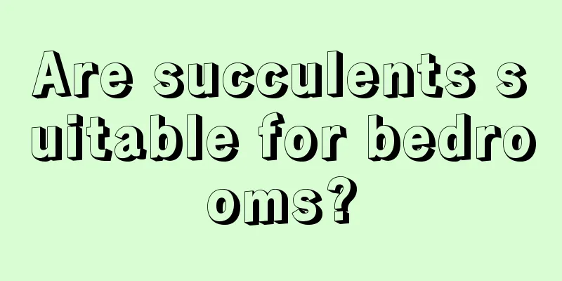 Are succulents suitable for bedrooms?
