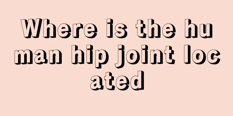 Where is the human hip joint located