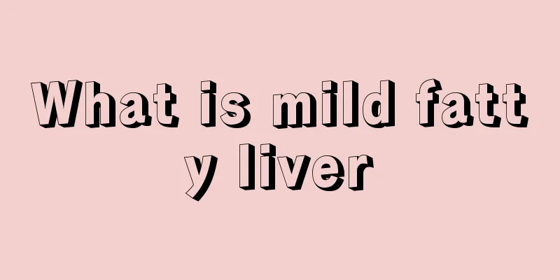 What is mild fatty liver