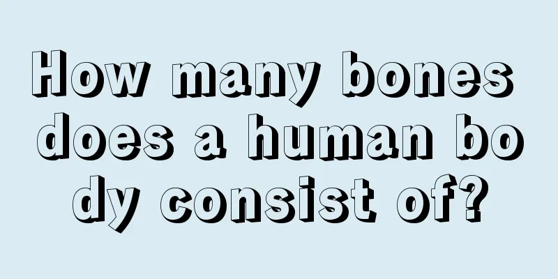 How many bones does a human body consist of?