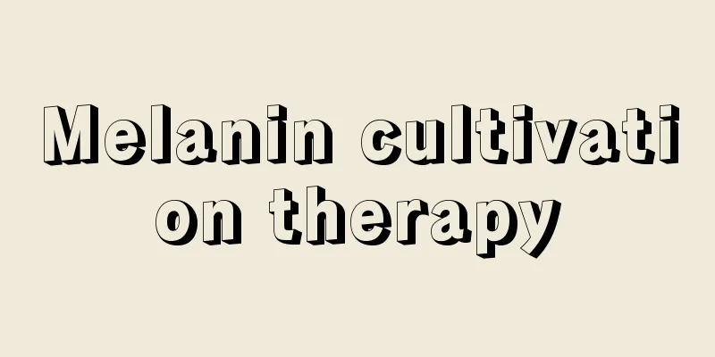Melanin cultivation therapy