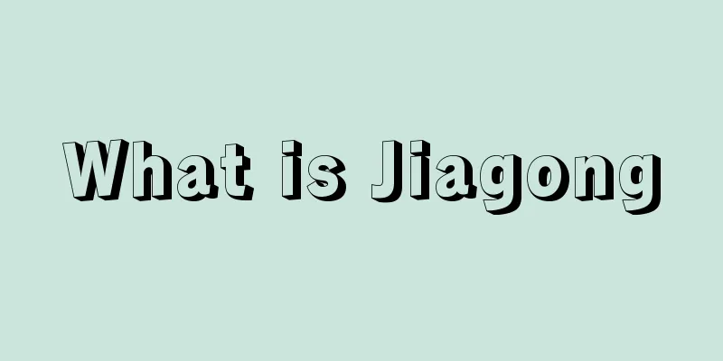 What is Jiagong