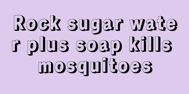 Rock sugar water plus soap kills mosquitoes