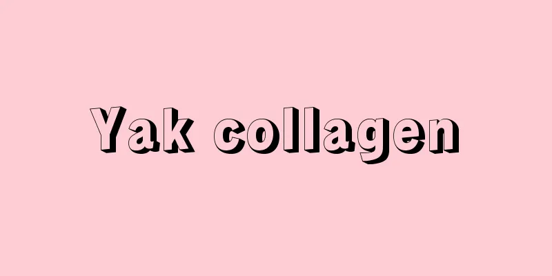 Yak collagen