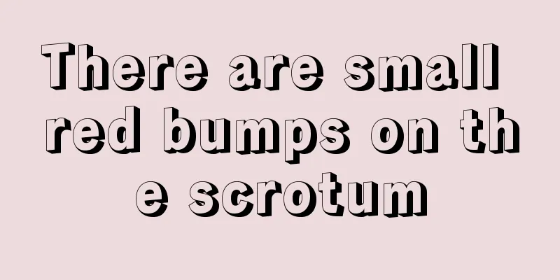 There are small red bumps on the scrotum