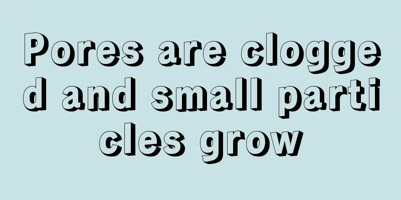 Pores are clogged and small particles grow