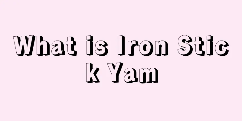 What is Iron Stick Yam