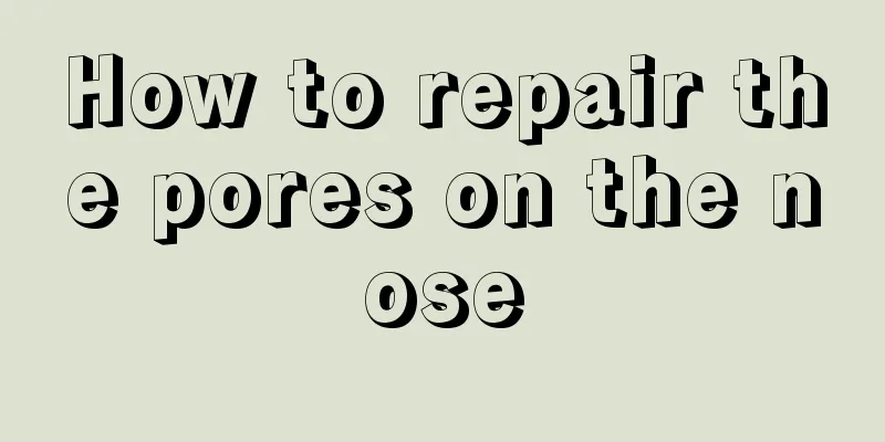 How to repair the pores on the nose