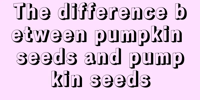 The difference between pumpkin seeds and pumpkin seeds