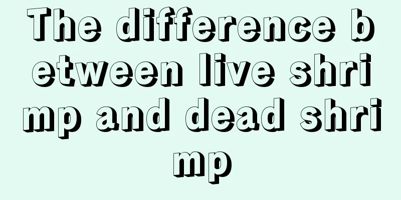 The difference between live shrimp and dead shrimp
