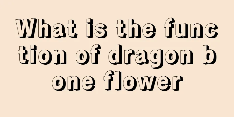What is the function of dragon bone flower