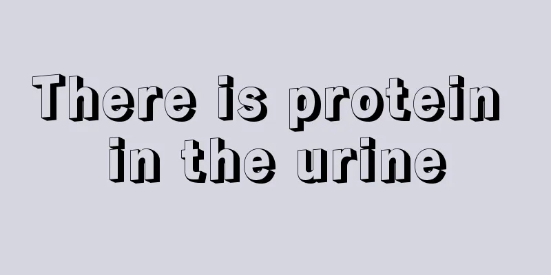 There is protein in the urine