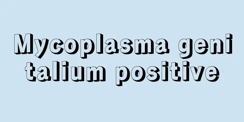 Mycoplasma genitalium positive