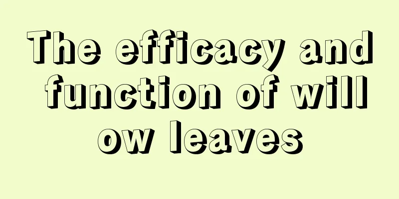 The efficacy and function of willow leaves