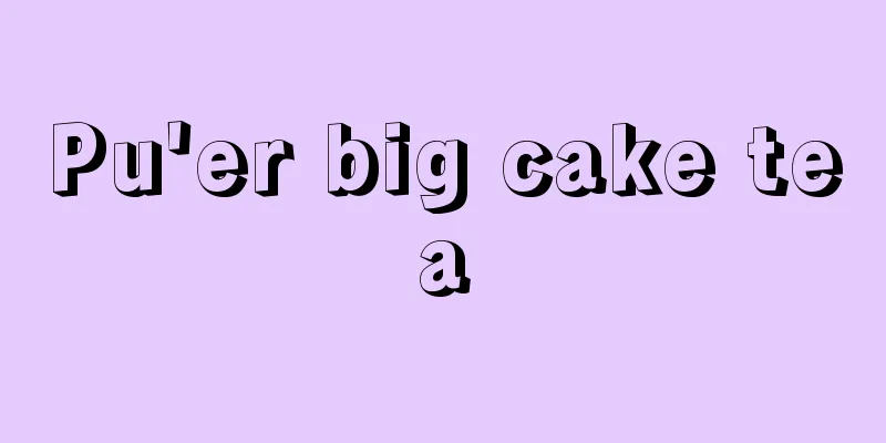 Pu'er big cake tea